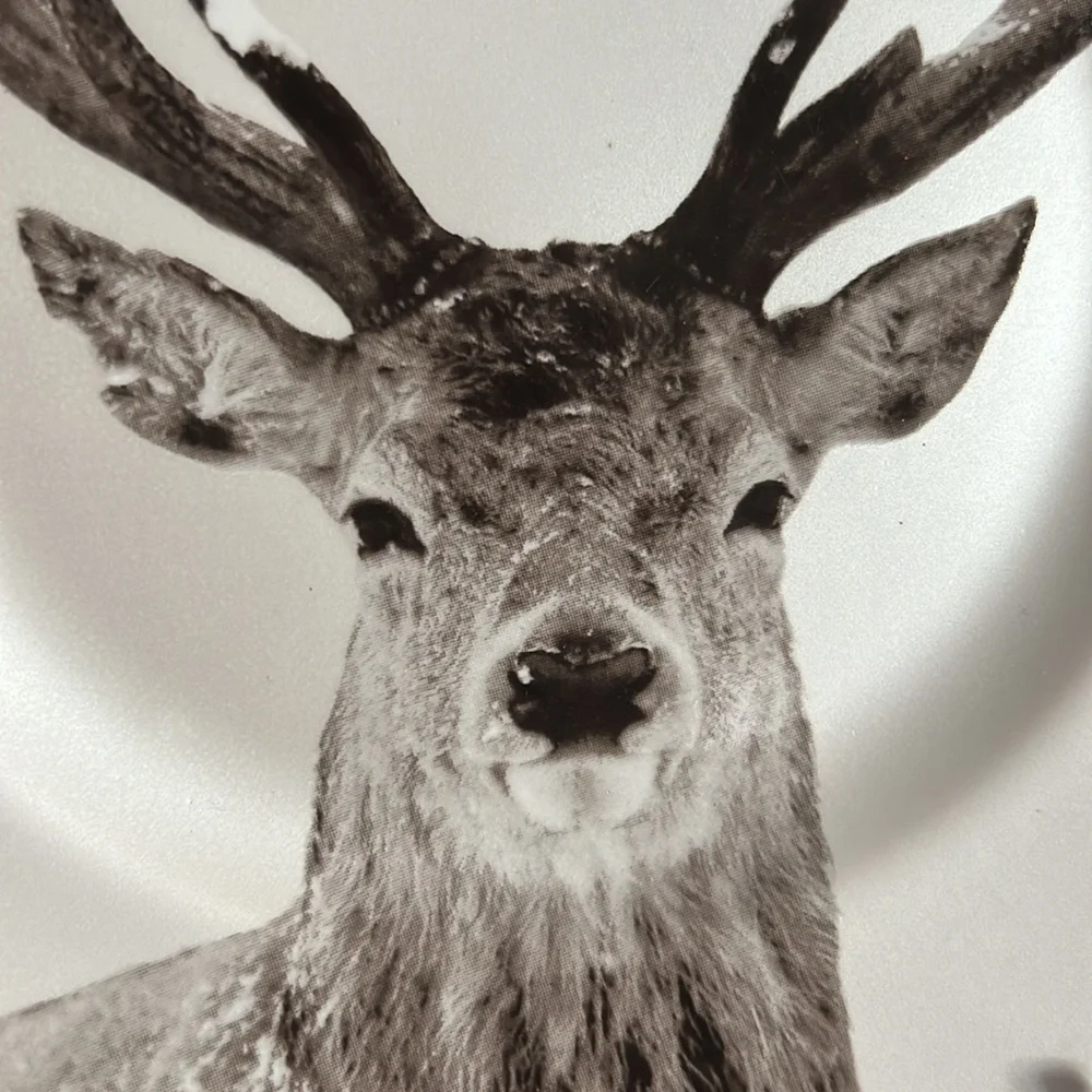 Pier 1 Imports 1 “Winter Forest” Accent Plate